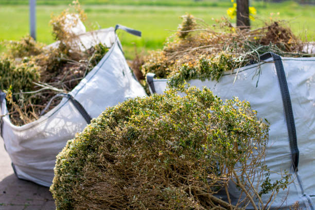 Yard Cleanup Services in Port Vue, PA